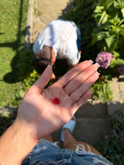 In Chavei, Bulgaria, a person's hand, with light pink manicured fingernails, holds a single, small red wild strawberry in their palm. In the background, a child wearing a white t-shirt and blue shorts is bending over, seemingly engaged in searching or gathering something in a garden area. The garden features green grass, stone pathways, and flowering plants, including a cluster of pink hydrangeas. The lighting suggests it is a sunny day, casting shadows from overhead trees. The person holding the strawberry is wearing denim shorts.
