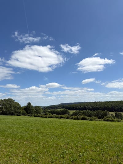 This landscape photograph depicts a pastoral scene under a clear blue sky, observed in the vicinity of Olingen, Luxembourg. The upper half of the image is dominated by a vibrant blue sky featuring scattered cumulus clouds of varying sizes and shapes, appearing white against the blue backdrop. A single, thin white contrail, presumably from an aircraft, diagonally traverses the sky from the upper left quadrant towards the mid-right.
The midground features a gently rolling terrain characterized by multiple layers of dense, dark green deciduous forests and wooded areas. These tree lines create an undulating horizon, with some distant hills partially visible behind them. Between these forested sections, lighter green fields or meadows are discernible.
The entire foreground is occupied by an expansive, lush green field of grass, suggesting a meadow or pasture. The grass exhibits varied texture and height, with some areas appearing darker and denser than others. No human subjects, animals, or prominent man-made structures are visible within the immediate foreground or midground. The scene is illuminated by natural daylight, indicating clear weather conditions during daytime.