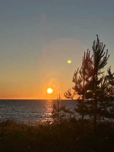The image depicts a serene sunset over the Baltic Sea in Meremõisa, Estonia. The sun, a bright orb casting a shimmering reflection on the water, is positioned near the horizon. Silhouette pine trees stand on the grassy shore in the foreground, their dark forms contrasting with the warm hues of the sky and sea. The sky transitions from a pale blue at the top to a vibrant orange near the horizon, indicating the approaching evening. There are no people or animals visible in the scene. The overall atmosphere is tranquil and natural, characteristic of the coastal landscape of Meremõisa.
