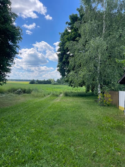 A high-angle, eye-level shot captures a grassy field with a path leading into it, bordered by trees on the left and right. A bright blue sky with scattered white clouds fills the upper portion of the frame. The field is mostly green with some patches of yellow in the distance, possibly indicating crops or wildflowers. On the right side of the image, a wooden fence and part of a building with white and yellow accents are visible. The overall scene depicts a rural landscape in Калодзежскі сельскі Савет, Belarus, on a sunny day.