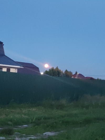 The image depicts an outdoor scene at dusk or dawn, featuring a clear blue sky with the moon prominently visible as a bright, slightly pinkish orb. In the foreground, a tall, dark green fence stretches horizontally across the frame. Behind the fence, partially obscured, are the roofs of houses, one with a dark blue, sloped roof and visible white trim, and another with a darker, presumably tiled roof. Trees with dense foliage are visible behind the houses, silhouetted against the sky. The ground in front of the fence appears to be overgrown with grass, with some lighter patches suggesting bare earth or rocks. The overall impression is of a residential area on the outskirts of Zhal'skoe, Russia, during twilight. There are no people visible in the image, and no discernible actions or interactions are taking place.