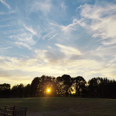 A low-angle shot captures a tranquil sunset over a grassy field bordered by a dense line of trees. The sun, a bright orb, is partially obscured by the silhouetted branches of the trees, casting a warm, golden glow that permeates the scene. The sky above is a canvas of soft blues and yellows, painted with wispy white clouds and faint contrails, suggesting fair weather. The field itself is a deep green, with patches of dry grass and a subtle gradient of light and shadow, indicating a late afternoon or early evening setting. In the foreground, a dark, metal fence with a curved design runs along the bottom left of the frame, adding a man-made element to the natural landscape. The overall atmosphere is one of peace and serenity, with the setting sun evoking a sense of calm. The image appears to be taken in Knowsley, United Kingdom, based on the provided location context. No text is visible in the image.