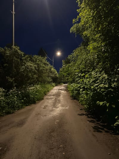 The image depicts a narrow, unpaved road at night, illuminated by a single streetlamp. The road surface is wet and muddy, with several puddles reflecting the artificial light. Dense foliage lines both sides of the road, with lush green trees and shrubs creating a shadowed canopy overhead. Small white flowers are visible on the left side of the road. A utility pole with wires stands tall on the left side of the frame. The overall atmosphere is dark and somewhat desolate, suggesting a rural or suburban setting. There are no people or animals visible in the image. The location is identified as Sergeevka, Russia.