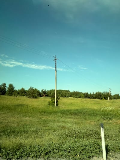The image captures a rural landscape with a clear blue sky above. In the mid-ground, a tall, weathered utility pole stands prominently in a grassy field. Power lines extend horizontally from this pole towards the right side of the frame, where a second, similar utility pole is visible in the distance. The field itself is a lush green, covered in tall grass and various wild plants, suggesting a natural, uncultivated environment. A dense line of trees forms the background, creating a visual barrier at the edge of the field. In the upper left portion of the sky, a small, dark silhouette of a bird is discernible. In the foreground, the edge of a road or path is visible, with some low-lying green vegetation and a white marker post with a dark cap. The scene appears to be located in Cherepanovo, Russia, given the context provided.