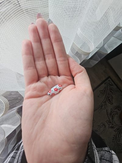 A person's left palm is holding a small, oval-shaped object that appears to be a fake fingernail. The fingernail is white with a red floral pattern. The person's hand is resting against a sheer, white, patterned curtain. The background is out of focus and appears to be a dark rug with a floral design. The image was taken indoors. There is no information about the city of Kamen-na-Obi, Russia included in the image.