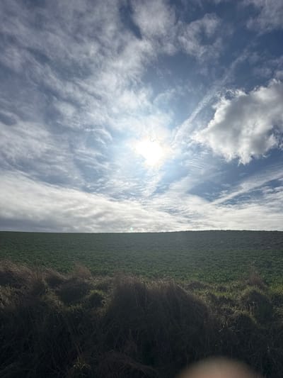 The image captures an outdoor agricultural landscape under a bright, partially cloudy sky in the vicinity of Montrose, United Kingdom. The upper two-thirds of the frame are dominated by a radiant sunburst positioned in the upper-left quadrant, emitting significant glare. The sky is a light blue, interspersed with numerous white and grey clouds ranging from thin, wispy cirrus-like formations to more substantial cumulus-like clouds, particularly in the upper right. A clear, level horizon line separates the sky from the land. The lower third of the image features a vast, gently undulating field of vibrant green, low-lying vegetation, indicative of cultivated crops. The immediate foreground presents darker, dry, and bundled grass or straw, appearing partially shadowed. No human subjects or man-made structures are identifiable within the scene.
