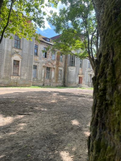 In the city of Zhaludok, Belarus, an outdoor scene depicts a weathered, classical-style building with multiple windows and a red door. The building's facade is a mix of stucco and exposed brick, indicating signs of disrepair. Sunlight filters through the green leaves of trees in the foreground, casting dappled shadows on the dirt ground. The ground is uneven, covered with loose soil, small stones, and debris. A thick, moss-covered tree trunk occupies the right side of the frame, partially obscuring the view of the building. The sky above is partly cloudy. The overall impression is one of a historical structure in a state of natural decay, surrounded by greenery.