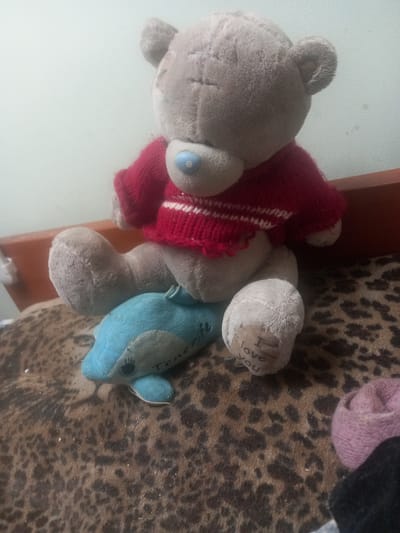 A stuffed gray teddy bear is sitting on a leopard-print rug in Maloye Lugovoye, Russia. The bear is wearing a red sweater with white stripes. A small blue stuffed dolphin is lying on the rug under the bear. The teddy bear has a patch on its foot with the words "I love you" printed on it. The background is a plain light-colored wall.