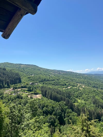 The image depicts a sunny, daytime view in Kovachevitsa, Bulgaria, looking out over a densely forested mountain slope. The sky is clear blue. In the foreground on the left is part of a weathered wooden structure, possibly the roof of a building. The mountain slope is covered with lush, green trees, with patches of varying shades suggesting different types or densities of vegetation. A few small buildings are visible nestled among the trees on the mountainside. In the distance, the peaks of other mountains can be seen.