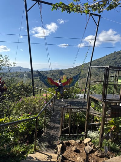 A person is suspended in the air, secured to a cable by a harness with large, colorful wings attached. The person is facing away from the viewer, with a mountain range in the background under a blue sky dotted with clouds. A metal structure, possibly part of a zip line or viewing platform, is visible to the right, amidst lush green vegetation. The landscape suggests a tropical or mountainous region.