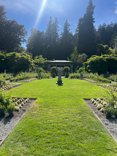 The image depicts a formal garden setting, likely within the city of Langford, Canada. A central, manicured lawn is bordered by symmetrical beds of low-lying white flowers, interspersed with green shrubs. A stone pedestal with an urn sits at the far end of the lawn, centered within a paved walkway that leads to a covered, open-air structure, possibly a gazebo or pavilion, with stone pillars. The garden is surrounded by mature trees, some of which are coniferous, suggesting a temperate climate. The sky is bright blue with a strong sun flare emanating from the upper left quadrant of the image. The scene is serene and orderly, showcasing meticulous landscaping. No people are visible in the frame.