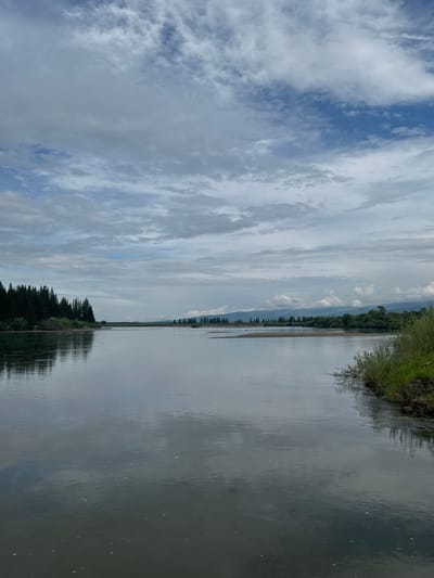 The image depicts a wide, calm river with a reflective surface, likely under an overcast sky with patches of blue visible. The left bank of the river is lined with a dense forest of evergreen trees. In the distance, the river extends towards a horizon with low, tree-covered hills and mountains. A small sandbar is visible in the middle of the river, with scattered vegetation. The right bank of the river is overgrown with grass and brush. The scene suggests a natural, undeveloped landscape. Based on the provided information, this image is located in the city of Zhemchug, Russia.