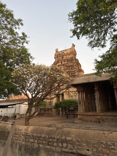 The image shows the Hazara Rama Temple in Kamalapura, India. The temple tower rises above trees and a building to the right. The temple complex is made of stone and is partially shaded. The sky is visible in the upper-left. A tree with light-colored flowers is in the center of the image. The image is taken from a low angle.