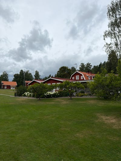 The image shows a view of red buildings with white trim and orange roofs, situated in a park-like setting with lush green grass and mature trees. The buildings appear to be part of a complex, with one detached building in the background to the left and a larger, connected structure in the foreground to the right. White hydrangeas are in bloom in front of the main building. A white flag is flying from a flagpole in the middle ground. The sky is overcast with dramatic, grey clouds. The overall impression is one of a rural or semi-rural location, possibly a museum or historical site given the traditional architecture. While the specific location within Aneby, Sweden is not explicitly identifiable from the visual information alone, the architectural style and natural surroundings are consistent with many Swedish countryside settings. There are no people or animals visible in the image, and no discernible actions or interactions are taking place.