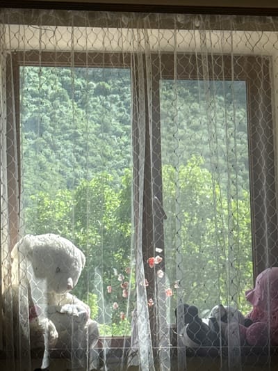 A photograph, taken from inside a room, shows a window draped with a sheer white lace curtain that has a repeating diamond pattern with small black dots. Through the curtain, a lush green hillside covered in trees is visible. On the windowsill, several stuffed animals are placed. On the left, a large white teddy bear is seated. To its right, a pink stuffed animal with a floppy hat and pink polka dots is visible. Between these, and further to the right, are two smaller stuffed animals, one dark gray and one black and white, partially obscured. The lighting suggests it is daytime, with sunlight filtering through the trees and the curtain. The scene appears to be located in Tumanyan, Armenia, suggesting a residential setting with a view of natural landscape.