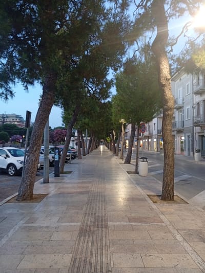 The image depicts a street scene in Civitanova Marche, Italy, likely in the evening or early morning, with soft ambient light. A wide pedestrian walkway paved with light-colored stone tiles runs along the right side of the street. The walkway is lined with mature pine trees casting shadows and framing the view. On the left side of the walkway, several cars are parked along the curb, including a white SUV. Further down the street, buildings with multiple stories and balconies line the opposite side. A parking meter is visible near one of the trees. In the distance, more trees and buildings are visible. The sky is a pale blue, suggesting dusk or dawn. The overall impression is one of a quiet urban street bathed in gentle light.