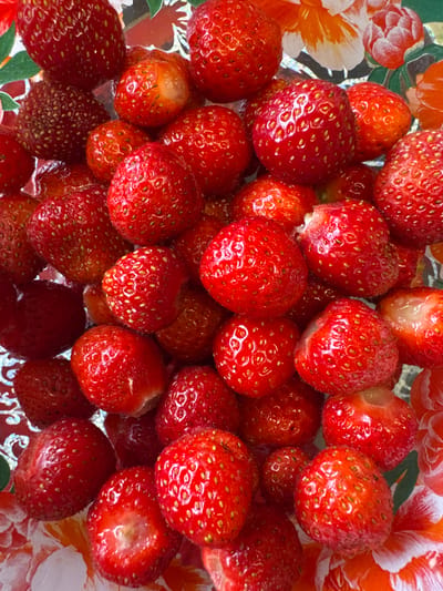 A close-up, overhead shot displays a bowl overflowing with ripe strawberries. The strawberries are primarily a vibrant red, with some showing slight variations in hue and texture. Many of the berries are speckled with tiny yellow seeds, characteristic of their ripeness. The bowl appears to be placed on a surface with a floral pattern, featuring large orange and white petals, suggesting it might be a decorative dish or placemat. The lighting suggests the image was taken indoors with natural light, highlighting the glossy surface of the fruits. There are no people or animals present in the image. The overall scene is a simple, naturalistic depiction of fresh fruit.