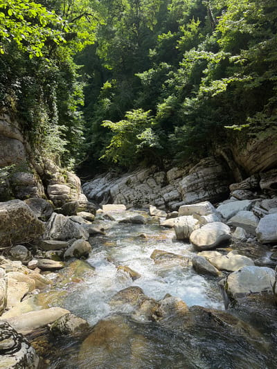 This is a vertical, eye-level, medium shot of a rocky stream flowing through a natural landscape. The scene is dominated by the textured, grey rock face on the left, partially covered by lush green foliage that cascades down in dappled sunlight. A clear, shallow stream meanders to the right, flowing over a bed of smooth, grey and white rocks. The water is in motion, creating ripples and reflecting the sunlight, suggesting it is a bright day. The overall mood is tranquil and serene, evoking a sense of untouched nature. The image captures a moment of natural beauty, likely in a forest or mountainous region, given the presence of both rock formations and dense vegetation. There are no people or man-made objects visible. The time of day appears to be daytime, with the sun casting strong highlights and shadows. The location cues of Khleborob, Russia, suggest a temperate climate, possibly during spring or summer. There is no visible text in the image.