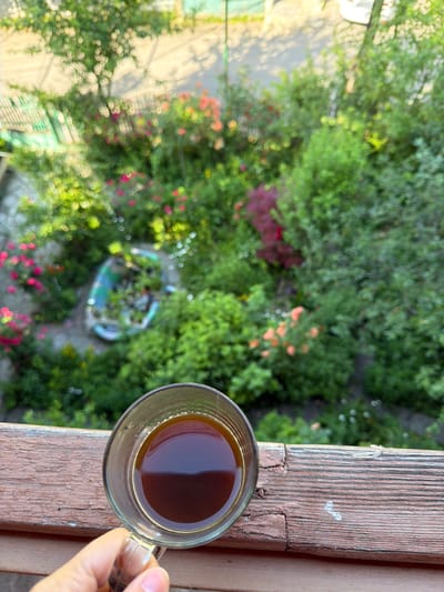 A close-up shot focuses on a clear glass mug filled with dark coffee, held by a person's hand. The mug rests on a weathered, reddish-brown wooden railing. Beyond the railing, a lush, green garden unfolds, filled with a variety of plants, trees, and blooming flowers in shades of pink and orange. A weathered, boat-like planter is visible in the garden, containing greenery. The background is softly blurred, creating a bokeh effect, suggesting a sunny day. The overall impression is one of a peaceful morning or afternoon, likely in Borjomi, Georgia, enjoying a beverage amidst nature.