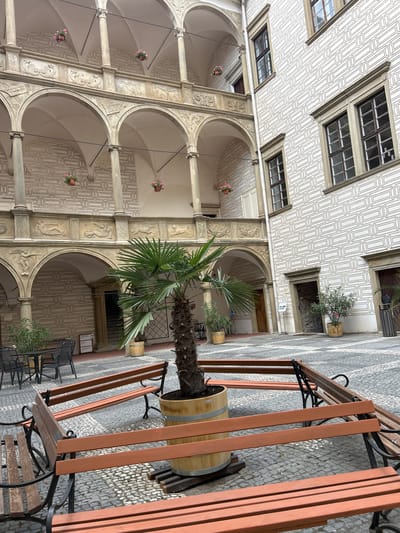 The image shows an ornate courtyard, likely in Rosice, Czechia, given the context. The architecture features arched walkways with intricate decorative carvings along the columns and between the arches. The ceiling of the walkways is adorned with a geometric patterned design. Several windows with multiple panes are visible along the upper levels of the buildings surrounding the courtyard.
Hanging baskets with pink flowers add a touch of color to the arched sections. In the foreground, a large potted palm tree stands prominently, its fronds reaching upwards. To the right, a wooden bench with a red frame and a wooden barrel planter are situated on a cobblestone ground. The overall scene suggests a tranquil outdoor space, possibly a cafe or a public area within a historic building. The lighting appears to be natural daylight, with no indication of specific time of day or weather conditions. No people are visible in the image. A small sign with some text is mounted on the wall near the potted palm and bench, but the text is not legible.