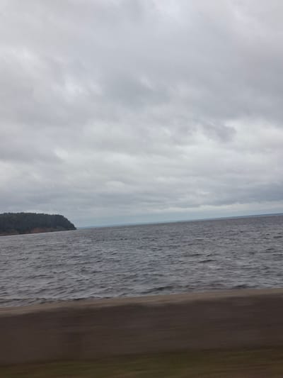 A wide, panoramic shot captures a body of water with a forested landmass on the left horizon under a heavily overcast sky. The water is a dark, choppy grey, with ripples suggesting a moderate wind. The landmass appears to be a peninsula or island covered in dense, dark green trees, with a lighter reddish-brown band visible at its base along the shoreline. The sky is filled with thick, grey clouds, obscuring any hint of blue or sunlight. In the foreground, a blurred, dark brown band runs horizontally across the bottom of the image, likely representing the side of a moving vehicle or structure. The scene is devoid of any human presence. This image appears to be a view of the Volga River near the city of Leninsk, Russia, given its characteristic wide expanse and the presence of forested shores.