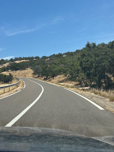 The image shows a winding asphalt road with white markings curving through a dry, hilly landscape under a clear blue sky. The roadside is lined with a metal guardrail on the left and dry grasses and sparse vegetation on the right. The hillsides are covered with scattered trees, some appearing to be olive trees, with a mix of green foliage and dry, pale ground. The scene is captured from a low vantage point, suggesting the photo was taken from a vehicle. The location is identified as the vicinity of Sidi H'Mad Ou M'Barek, Morocco.