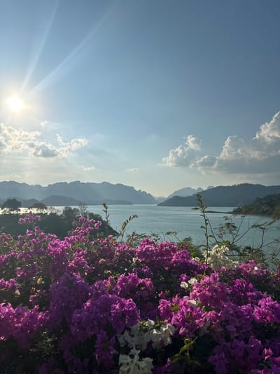 The image shows a scenic view of Cheow Lan Lake in Ban Chiao Lan, Thailand. Lush purple and white bougainvillea flowers fill the right side of the frame, contrasting with the lake and mountain range in the background. The water is a light blue-gray, reflecting the sky. The mountains are layered, fading into a hazy distance. The sky transitions from a bright, sunlit lower left to a paler blue with scattered white clouds on the left. The sun's glare is visible at the bottom left.