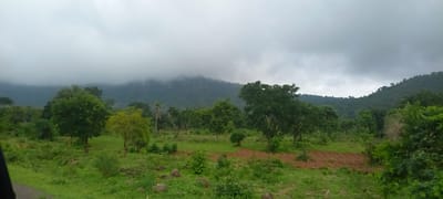 This is a wide, outdoor, daytime photograph taken from a moving vehicle, likely a car, looking out over a rural landscape in Gu, Nigeria. The scene is dominated by lush green vegetation under a heavily overcast sky. In the foreground, dense green grass, dotted with scattered rocks and some low-lying bushes, covers the ground. A slightly raised area of reddish-brown tilled soil is visible in the mid-ground, indicating agricultural activity.

Scattered trees of varying sizes and shades of green populate the mid-ground and extend into the background. Some trees are fully leafed, while others appear more sparse. A prominent tall, slender tree with a few palm-like fronds stands out among the other trees in the mid-ground.

In the background, rolling hills covered in dense green foliage rise up, their peaks partially obscured by thick, low-hanging clouds. The clouds create a soft, diffused light across the entire scene, contributing to a muted color palette. The overall impression is one of a verdant, natural environment, possibly during or just after a period of rain. There are no people or animals visible in the frame.
