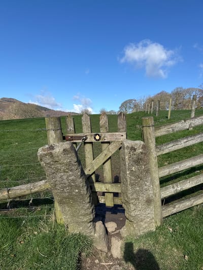 This image depicts a rural footpath access point in High Peak, United Kingdom. The foreground shows a narrow, worn dirt path traversing a grassy field and leading through a stone stile. The stile is formed by two upright, weathered, rough-hewn stone posts, framing a smaller, recessed wooden gate. A circular black and yellow waymarker, displaying a white arrow and a stylized tree/person symbol, is affixed to the top horizontal rail of the wooden gate. A wire fence extends horizontally to the left from the stile, while a multi-rail wooden fence continues to the right, receding into the background. The ground is covered in short, green grass. A human shadow is partially cast on the grass and path in the lower right foreground. The midground and background feature undulating green hills with sparsely distributed bare deciduous trees. A larger, treed hill or mountain rises in the distant left. The sky is bright blue with a few scattered white cumulus clouds, indicating a clear, sunny day with strong natural light casting distinct shadows.