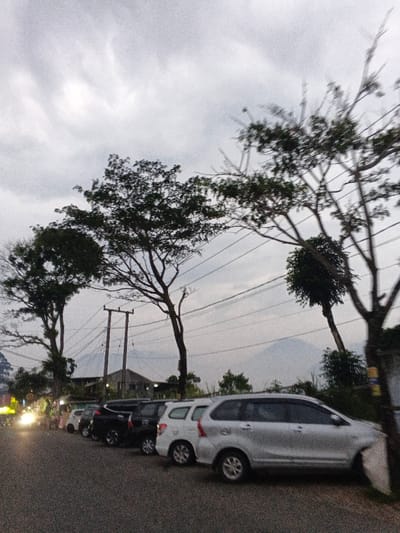 The scene depicts a roadside area in Phước Hòa, Vietnam, under an overcast sky during early evening. A line of approximately seven parked vehicles, primarily minivans or SUVs, occupies the right side of a paved road. The closest vehicle is a silver minivan/SUV, followed by a white minivan/SUV and several darker models, all oriented to the left. Distant vehicle headlights emit a bright glow on the far left. The mid-ground contains several tall trees with varying foliage density and two utility poles supporting multiple overhead power lines. Indistinct buildings are visible behind the trees and power lines. The background features the silhouettes of mountains against the cloudy sky. No human figures or discernible actions are present.