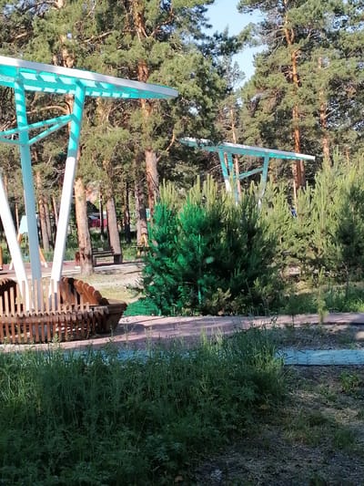 This image depicts a park-like setting with pine trees and recreational structures. In the foreground, a wooden bench with a weathered appearance is visible behind a light-colored wooden fence. To the left, a pale blue canopy structure with white vertical supports is prominent, suggesting a sheltered area or playground equipment. Further into the scene, another similar canopy structure can be seen. Several pine trees with green needles dominate the background, with a few smaller evergreen bushes in the middle ground. A stone bench is situated between two pine trees in the middle ground. The ground appears to be a mix of dirt and gravel, with a paved path visible in the distance. The sky is clear and blue. This appears to be an outdoor public space, likely in the city of Svirsk, Russia, given the prevalence of pine trees and the style of the structures. There are no people or animals clearly visible in the image.