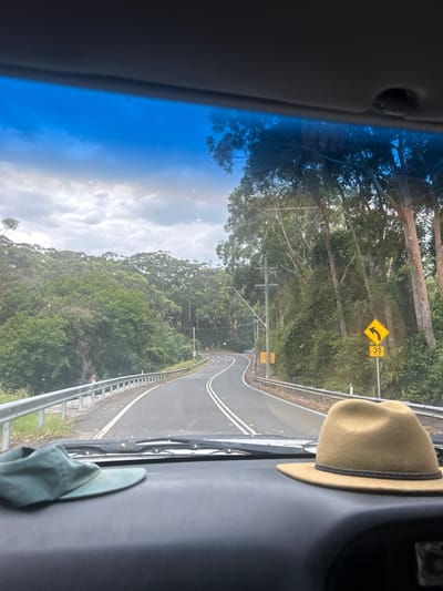 A view from inside a vehicle shows a winding road ahead, passing through a dense forest. A yellow and black sign warns of a sharp left turn with a speed limit of 35. The road is asphalt with double white lines marking the center. A beige hat is perched on the dashboard. The sky is visible through the trees, with a mix of blue and clouds. A metal guardrail runs along the side of the road.