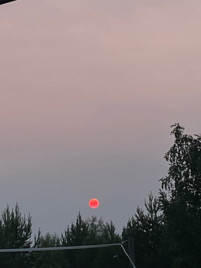This media file depicts a view of the sky with trees and a faint, reddish-orange circular object that appears to be the moon or sun. The sky is a pale, hazy color, suggesting it could be dawn, dusk, or an overcast day. Dark green foliage from trees frames the right and top edges of the image. A thin, vertical pole or structure is also visible on the right side, partially obscured by the trees and foliage. The overall mood is serene and somewhat mysterious due to the unusual color of the celestial body. There is no visible text in the image. The setting appears to be outdoors, likely in a natural or semi-natural environment with vegetation.