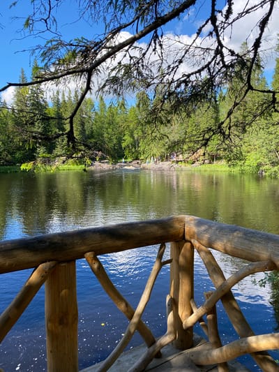 The image depicts a serene natural landscape in Ruskeala, Russia. In the foreground, a rustic wooden railing made of rough-hewn logs encloses a platform overlooking a body of water. The railing is characterized by its natural, unfinished appearance, with branches and irregular shapes forming the structure.
Beyond the railing, a calm, reflective body of water stretches across the mid-ground. The water's surface mirrors the blue sky with scattered white clouds, as well as the lush green of the surrounding forest. Small white specks, possibly foam or debris, are visible on the water's surface.
The background features a dense forest composed of tall, evergreen trees. The trees are vibrant green and appear to be in full foliage. On the far bank of the water, a few people are visible, appearing as small figures engaged in leisurely activity. Some are standing near the water's edge, while others are on what appears to be a wooden walkway or boardwalk that follows the shoreline.
Dominating the upper portion of the image are the branches of a large tree, extending from the top left corner and arching over the scene. These branches are bare of leaves, revealing a network of dark, twisted wood covered in lichen. The branches create a natural frame for the sky and the distant forest.
The overall impression is one of tranquility and natural beauty, characteristic of a peaceful outdoor setting in a forested region. The lighting suggests it is daytime, likely a sunny day with a bright sky.