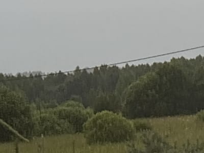 The image captures a landscape scene, likely in Shebarshino, Russia, on an overcast day. In the foreground, a field of dry, light-brown grass is visible, with some darker green vegetation and the blurry outlines of fence posts or thin trees. A diagonal, dark line, possibly a wire or cable, traverses the upper portion of the image, stretching across the frame against a pale gray sky. Behind the field, a dense line of dark green trees forms a treeline, with the tops of the trees appearing somewhat indistinct due to the overcast conditions. The overall impression is of a natural, rural or semi-rural setting under a diffused sky.