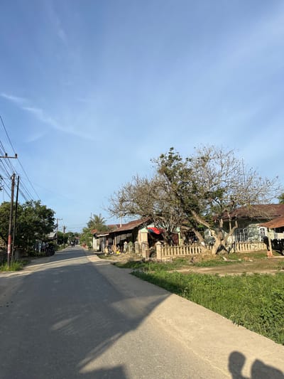 The image depicts a street scene in Landuh, Indonesia, under a clear blue sky with scattered wisps of clouds. The road, paved with asphalt, curves gently into the distance. On the right side of the road, a concrete path runs alongside a stretch of lush green grass. A large, bare-branched tree stands prominently in front of several houses with corrugated iron roofs. These houses appear to be single-story structures, some with visible fences. On the left side of the road, utility poles with numerous wires stand tall, and green trees are visible. Several motorcycles are parked on the left side of the road, and a few people are seen in the distance walking along the street. The lighting suggests it is daytime, with shadows cast across the road from the trees and possibly the photographer.