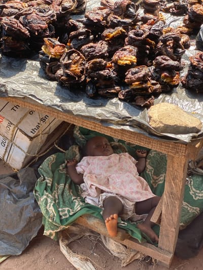 The image depicts an outdoor market scene in Nev, Nigeria, illuminated by bright sunlight. In the foreground, an infant of dark complexion lies asleep on its back within a makeshift wooden enclosure, cushioned by a green fabric with a light-colored pattern. The infant is clad in a pink dress adorned with heart patterns and white undergarments; its bare right foot displays a reddish-brown tint. Adjacent to this setup, a partially visible cardboard box, marked with text including "QUIT NOW" and "that Sn," is secured with twine. The upper portion of the image is dominated by a display of numerous dark brown to reddish-brown dried or smoked fish, consistent with catfish, heaped upon a dark grey plastic tarp. An irregularly shaped, light brown rock also rests on the tarp. The visible ground beneath is composed of bare earth.