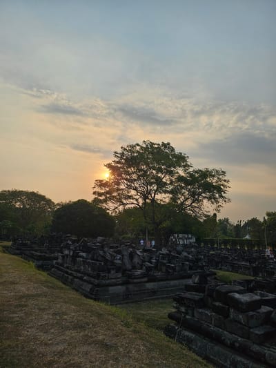 The image depicts the ruins of an ancient temple complex in Bokoharjo, Indonesia, bathed in the warm glow of a setting sun. A large, leafy tree dominates the center of the frame, its branches silhouetted against the hazy sky. Scattered amongst the ruins are several people, their figures small against the vastness of the stone structures. The ruins themselves are composed of dark, weathered stone blocks, many of them stacked haphazardly, hinting at a past grandeur. The ground is covered in dry grass and earth, with a pathway leading into the complex. The sky is a canvas of soft oranges and blues, with wispy clouds adding texture. The overall atmosphere is one of tranquility and historical reflection, with the fading sunlight casting long shadows across the ancient stones.