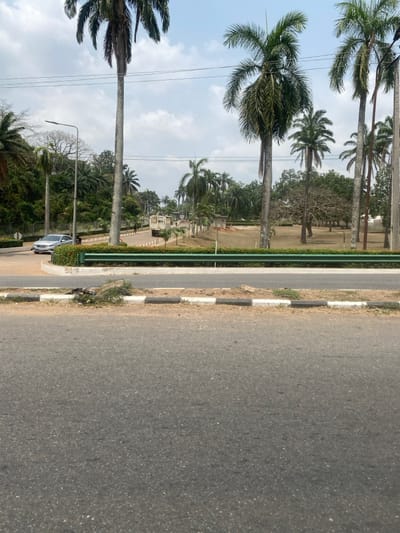 The image presents an exterior scene in Odo Ona, Nigeria, featuring a paved road alongside a landscaped area dominated by palm trees under a partly cloudy sky.
In the immediate foreground, a dark gray asphalt road surface occupies the lower half of the frame. Above this, a narrow dirt verge is visible, bordered by a curb constructed from gray stones with white painted tops. Beyond the curb, a green-painted metal guardrail runs horizontally across the mid-ground, separating the verge from a wider, grassy median. A line of low green shrubs is planted behind the guardrail.
In the mid-distance, a paved road curves rightward into the background. On the left side of this road, a silver-colored sedan, consistent with a Mercedes-Benz model, is partially visible, positioned at an apparent intersection or turn. An indistinct human figure is observed near the sedan. Further along the road, a light-colored truck with a cargo bed is present. Several additional indistinct human figures are visible near the truck and further down the road. On the right side of the road, a small, light-colored, square building, possibly a guard post or utility structure, is situated on a grassy area.
The landscape is characterized by numerous palm trees of varying heights, including very tall, slender specimens, and other broader-crowned trees. A large, open grassy area extends to the right of the curving road, dotted with more trees. A utility pole with a modern street light fixture is visible on the left, behind the green guardrail. Overhead, multiple power lines or communication cables traverse the sky. The background on the far left consists of a dense treeline. The sky above is light blue with scattered white stratocumulus clouds.