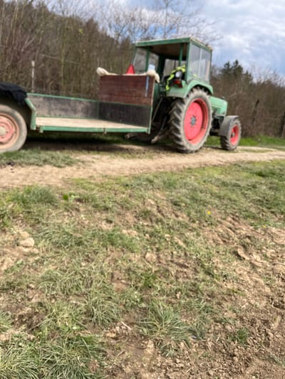 The scene is captured in Krško, Slovenia. An out-of-focus, green agricultural tractor with red wheel hubs is stationary on an unpaved dirt path. It is hitched to a green two-wheeled utility trailer featuring light-colored wooden planks and dark side panels. A black cover is draped over the front left of the trailer. The tractor has an enclosed cab, within which a yellow-green vest or similar item is visible. A red triangular warning reflector is affixed to the rear of the tractor's cab. Light-colored material is positioned on the wooden top extension of the trailer, near the tractor's rear. The foreground consists of uneven, light brown soil interspersed with patches of green grass and faint tire tracks. The background features a dense, deciduous treeline under a cloudy sky. No individuals are present, and no active operations are depicted.