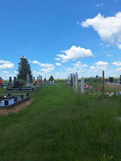 The image captures a cemetery on a clear, sunny day with scattered white clouds in a bright blue sky. The cemetery is characterized by rows of gravestones and monuments, predominantly made of dark stone, some with polished surfaces reflecting the sky. Many of these markers have floral arrangements, with bouquets of red, pink, white, and yellow flowers placed on or near them. The ground is covered in lush green grass, with some areas appearing longer and unkempt, suggesting it is a natural landscape rather than a meticulously maintained garden. In the background, a tall evergreen tree stands prominently, and beyond that, a flat, open landscape with distant power lines is visible. The overall scene is peaceful and serene, typical of a cemetery setting.