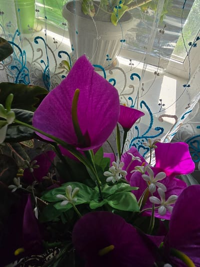 This media file is a close-up photograph of an artificial floral arrangement, likely indoors, positioned near a window with sheer curtains. The main subjects are vibrant purple calla lilies and small white flowers with green accents. The sheer curtains behind the flowers are white with intricate embroidery featuring blue and beige swirling patterns and small branch-like motifs. Sunlight streams through the window, casting shadows and highlighting the textures of the petals and fabric. The overall mood is decorative and serene, with the bright flowers contrasting against the delicate curtain. The location context provided is Serebriansk, Kazakhstan, suggesting the photo was taken there, but there are no explicit visual cues within the image itself to confirm this specific location. There is no visible text in the image. The time of day appears to be daytime, indicated by the sunlight.