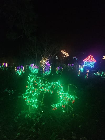 An outdoor display of colorful Christmas lights illuminates the dark. A string of light fixtures displays a variety of colors, including red, white, blue, purple, and green. Shapes range from a house-like form to abstract designs. Trees are wrapped with green lights and adorned with red ornaments, framed by wire arches. The scene is vibrant and festive.