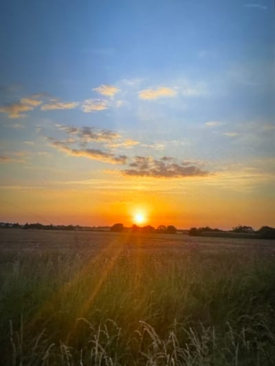 The image depicts an outdoor rural landscape at sunset, located in Kumanovo, North Macedonia. The setting sun, a brilliant orange-yellow disc, is visible above the horizon, positioned slightly to the right of the frame's vertical center. This intense light creates a lens flare and bathes the lower sky in vivid orange and yellow hues, transitioning to light blue in the upper sky. Scattered, detached cumulus clouds are present, illuminated with orange and yellow tones by the sun. The foreground and midground consist of a wide field densely covered with tall, dry grasses, appearing mostly in shadowed greens and browns, with individual grass stalks visible in the immediate foreground. A dark, indistinct line of trees and potential structures forms the distant horizon. A faint, thin linear object, possibly a utility line, traverses diagonally from the mid-left side, originating near the horizon and extending towards the lower-left edge. No individuals, animals, or explicit actions are depicted.