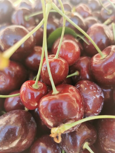 A close-up, top-down, shallow depth of field shot shows a pile of ripe, dark red cherries. The cherries are round and plump, with smooth, glossy skins that reflect the light. Some of the cherries have visible stems, which are green and slightly fuzzy. A few small green leaves are also interspersed among the fruit. The background is blurred and indistinct, with a soft focus that emphasizes the texture and color of the cherries. The image appears to have been taken outdoors, possibly in a market or garden setting. There is no visible indication of the city of Pociumbeni, Moldova, or any people in the image.