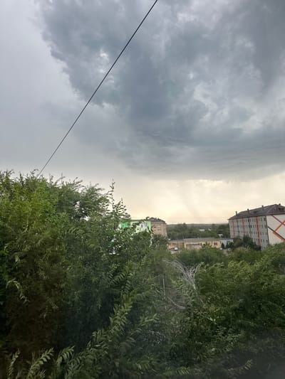 An outdoor, eye-level shot captures a cloudy, overcast sky over the city of Gornyi Erik, Russia. In the foreground, a dense canopy of dark green foliage obscures the lower portion of the frame. The foliage consists of numerous branches and leaves from trees and bushes. A thin, dark diagonal line, likely a power line, stretches from the upper left corner of the frame towards the center.

In the mid-ground, a few buildings are visible, interspersed with more trees. To the left, a light green building with a flat roof is partially visible. Further back, a long, low-rise building with yellow and white sections is seen, with cars parked in front.

The background features larger, multi-story buildings. On the right side of the frame, a tall, white building with orange and dark grey diagonal stripes on its facade stands prominently. This building has a dark, multi-pitched roof with visible chimneys. To its left, a lighter colored building with a darker roof is also present. Beyond the buildings, a hazy horizon suggests a landscape with more trees and possibly distant structures. The overall lighting is subdued, characteristic of a cloudy day, with some brighter areas in the sky indicating the direction of sunlight behind the clouds.