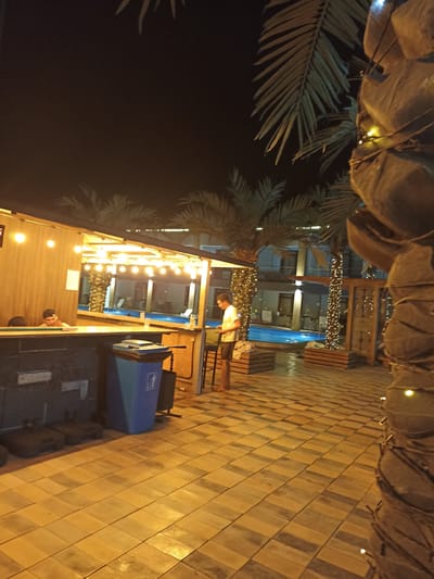 The image depicts a nighttime scene at a poolside bar, likely in the city of Sorbulak, Kazakhstan. In the foreground, a large palm tree wrapped in string lights stands to the right. The bar area is to the left, with a wooden counter. Two individuals are visible; one person, wearing a t-shirt and shorts, stands near the bar and appears to be interacting with someone or something out of frame. Another person, wearing a cap, is seated behind the counter, partially obscured. Behind the bar, a swimming pool with blue water is visible, surrounded by palm trees and buildings. The ground is paved with rectangular tiles, and a blue trash bin is placed near the bar. The lighting is warm, with string lights illuminating the trees and bar area.