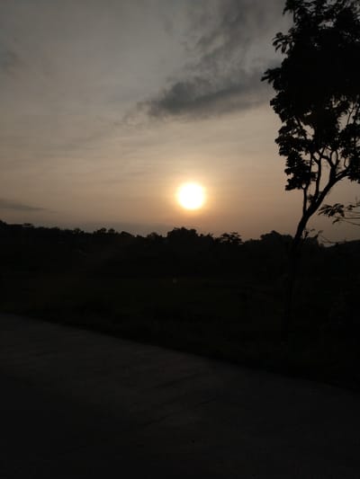 The image depicts a landscape scene at dusk or dawn in Jetis, Indonesia. The sun is prominently positioned in the sky, appearing as a bright orb above the horizon, with light filtering through thin clouds. The silhouette of trees lines the horizon, while a lone tree stands in the right of the frame, its branches and leaves also in silhouette. A dark road occupies the foreground, appearing in shadow. The overall tone of the image is muted with contrasting brightness between the sun and the dark silhouettes.