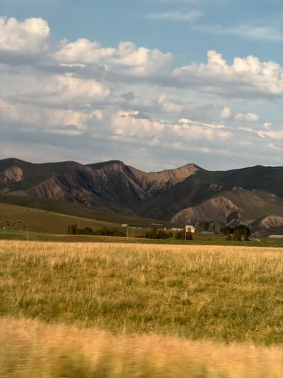 The image depicts a rural landscape under a partly cloudy sky. A majestic mountain range dominates the background, its rugged slopes casting shadows and revealing geological layers. In the foreground, a field of tall, golden grass stretches across the right side of the frame, suggesting a dry or harvested state. To the left of the field, a green meadow extends towards the mountains, with a few scattered trees and a small building visible. A herd of dark-colored animals, possibly cattle, are grazing in the meadow. The lighting suggests it is daytime, likely late afternoon given the warm tones of the grass and the angle of the shadows. The scene conveys a sense of tranquility and natural beauty. The location is identified as Toguz-Bulak, Kyrgyzstan, which is consistent with the mountainous terrain and open fields.