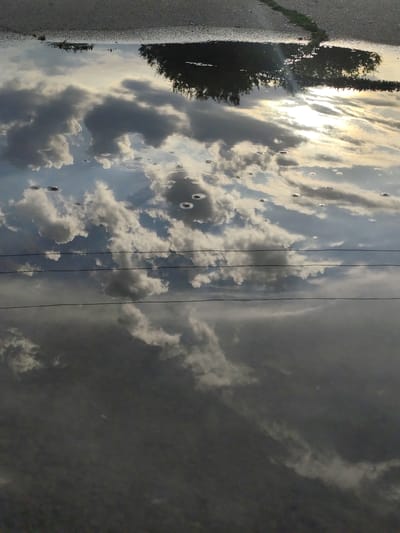 This is a photograph of a reflection in a puddle on an asphalt surface, likely a road or parking lot, given the presence of what appears to be a painted line or crack in the asphalt. The image is oriented vertically, with the asphalt surface at the top and the reflection filling the rest of the frame.
The reflection captures a dynamic sky with a mix of dark, dramatic clouds and brighter areas illuminated by what appears to be the sun, suggesting it is either sunrise or sunset. Wisps of clouds are visible, some appearing fluffy and white, while others are darker and more textured. There are several small circular ripples on the surface of the water, indicating that something may have recently disturbed it. The reflection also shows what appear to be faint, horizontal lines, possibly power lines, stretching across the scene. Further down in the reflection, darker, heavier clouds dominate, creating a sense of depth and transition in the sky. A hint of greenery, perhaps grass or foliage, can be seen peeking through a crack in the asphalt at the top of the image.
The overall mood is atmospheric and slightly dramatic, due to the contrast between the bright and dark clouds. The time of day is suggested to be either early morning or late evening due to the lighting conditions. There is no visible text in the image. The location context provided is Қырғауылды, Kazakhstan.